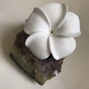 Plumeria flower hair accessory flown in frm Hawaii